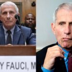 Why Is Dr. Fauci Being Questioned? What Is He Accused Of?
